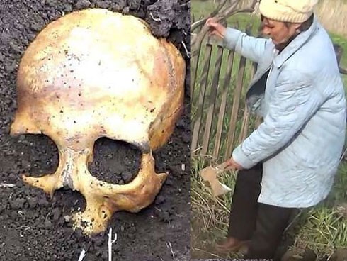 Đào được hộp sọ khi đang làm vườn, chú nông dân Nga sợ mất mật khi vợ bảo