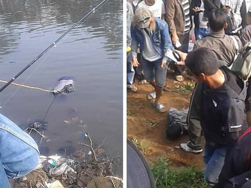 Tham gia cuộc thi câu cá, cần thủ đen đủi câu được thứ khủng khiếp ngoài tưởng tượng
