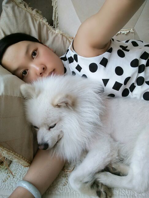 Cám cảnh vợ bầu được chồng giao nhiệm vụ chăm bồ nhí 4 chân: Chó sổ mũi hay bỏ ăn vợ cũng bị mắng-2