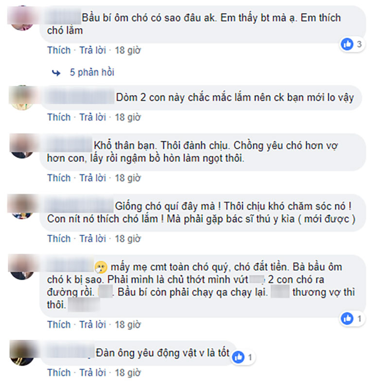 Cám cảnh vợ bầu được chồng giao nhiệm vụ chăm bồ nhí 4 chân: Chó sổ mũi hay bỏ ăn vợ cũng bị mắng-3