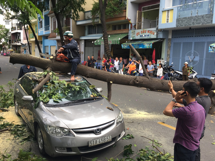 Lốc xoáy nhiều nơi ở Sài Gòn, cây xanh ngã rạp, 3 người trọng thương-1