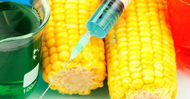 Đừng bao giờ mua trái cây mã code bắt đầu bằng số 8: Sự thật đáng sợ-2