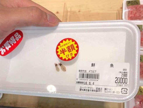 Sự thật món mực