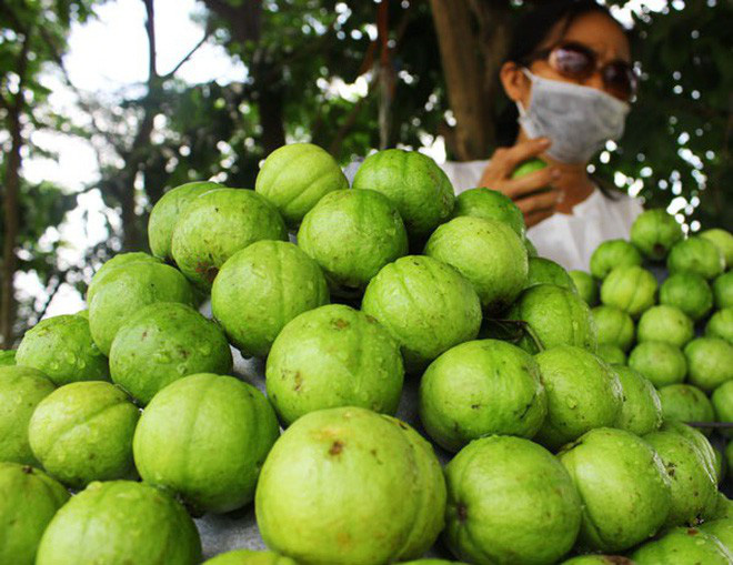 Ổi luộc: chẳng ai ngờ có món ăn này mà lại còn là đặc sản-2