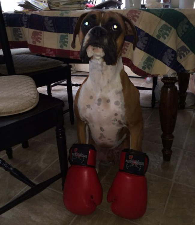 Những con người khiến ta cười không ngậm được mồm-5