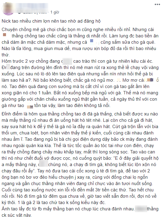 Tâm sự cười chảy nước mắt của cô vợ đòi ly dị vì chồng mê gà chọi: Đang ân ái nhảy bổ xuống kiểm tra chuồng, đem cả gà đi hát karaoke-2