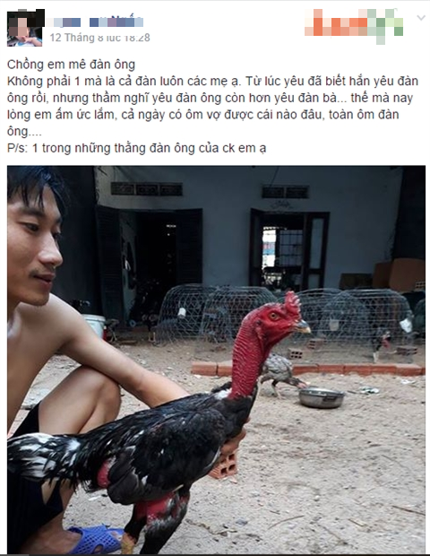 Tâm sự cười chảy nước mắt của cô vợ đòi ly dị vì chồng mê gà chọi: Đang ân ái nhảy bổ xuống kiểm tra chuồng, đem cả gà đi hát karaoke-4