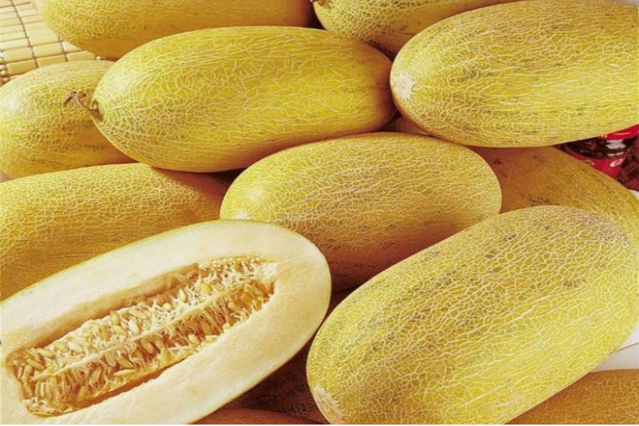 7.200 tấn dưa Trung Quốc tràn chợ: Cách phân biệt dưa Việt - dưa Tàu-1