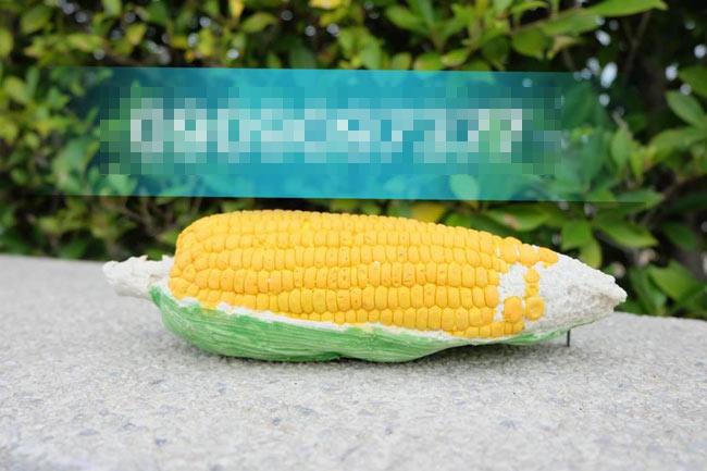 Dân mạng ngã ngửa khi thấy cô gái đeo sầu riêng làm túi xách và cái kết bất ngờ-16