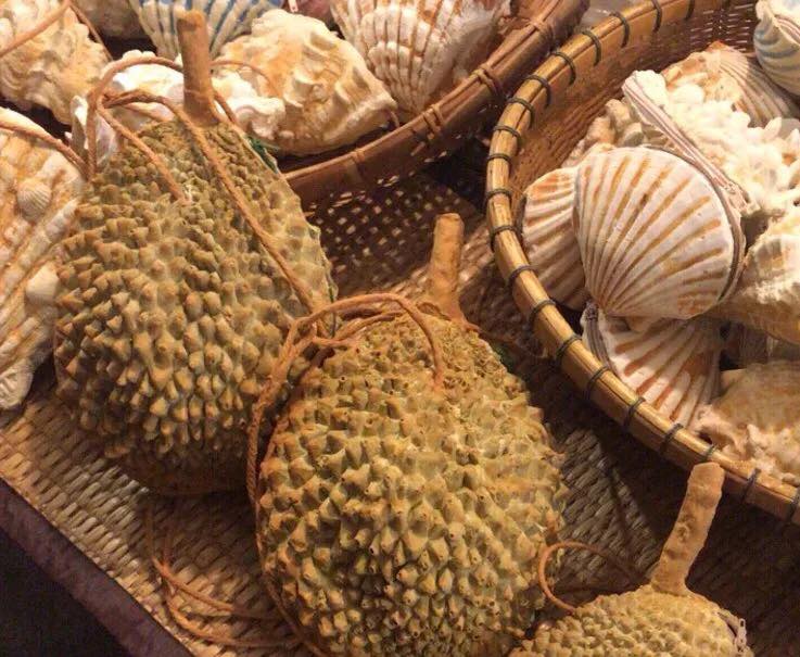 Dân mạng ngã ngửa khi thấy cô gái đeo sầu riêng làm túi xách và cái kết bất ngờ-7