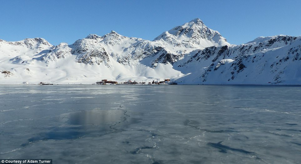 Tử vi 12 cung hoàng đạo ngày 4/6-1