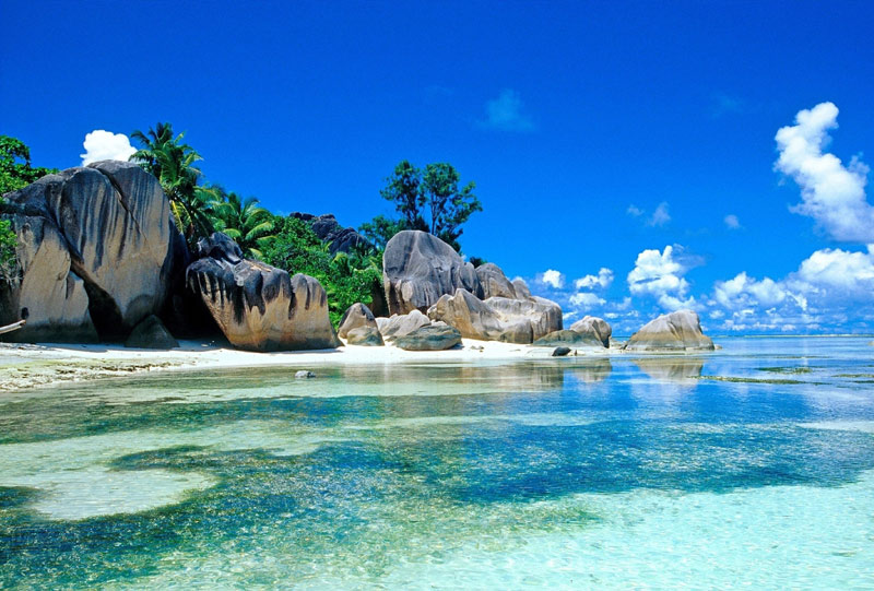 Tử vi 12 cung hoàng đạo ngày 7/6-2