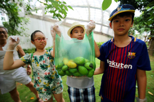 Chuyện lạ Hà Thành: Dân phố kéo ra vỉa hè mở hội hái xoài-9