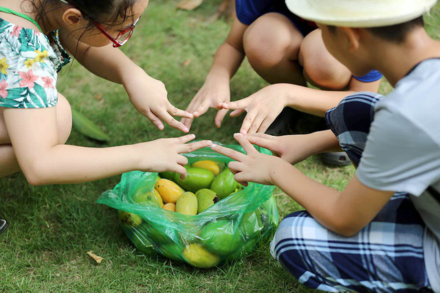 Chuyện lạ Hà Thành: Dân phố kéo ra vỉa hè mở hội hái xoài-10