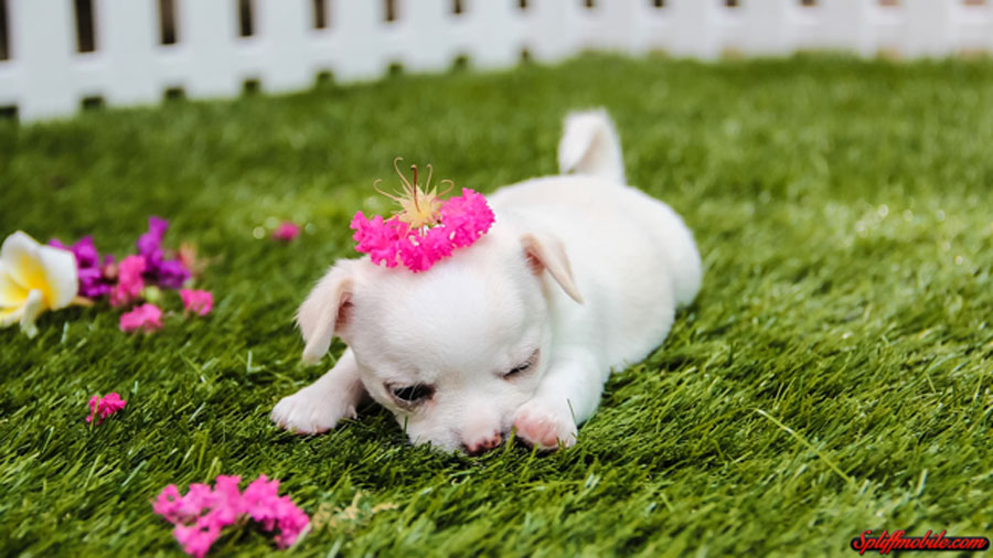 Tử vi 12 cung hoàng đạo ngày 21/5-3