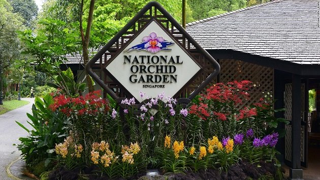 Sẽ có hoa lan mang tên ông Trump và Kim Jong Un?-1