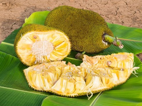 Không ngờ loại quả xù xì này có tác dụng chống ung thư