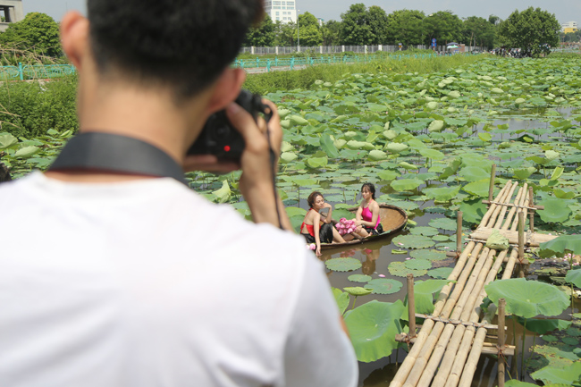 Ảnh: Thiếu nữ đánh đổi làn da trắng, lội hồ sen chụp ảnh dưới nắng-2