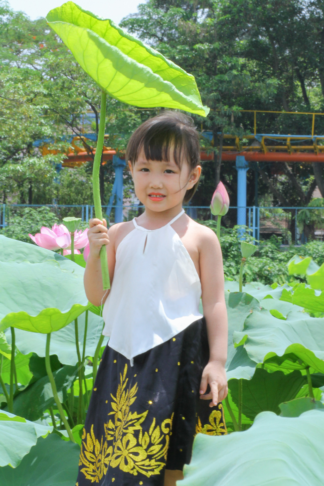 Ảnh: Thiếu nữ đánh đổi làn da trắng, lội hồ sen chụp ảnh dưới nắng-12