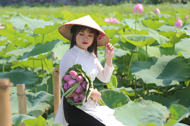 Ảnh: Thiếu nữ đánh đổi làn da trắng, lội hồ sen chụp ảnh dưới nắng-9