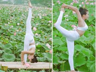 Bộ ảnh 'Yoga và sen' của người đẹp U40 hút dân mạng