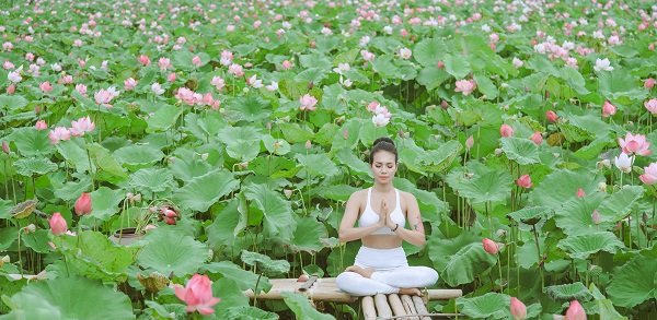 Bộ ảnh Yoga và sen của người đẹp U40 hút dân mạng-4