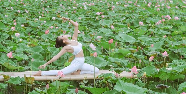 Bộ ảnh Yoga và sen của người đẹp U40 hút dân mạng-7