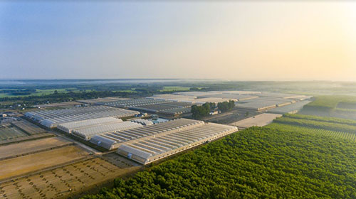 ‘Hành trình tương lai Xanh’ cùng VinMart & VinMart+-2