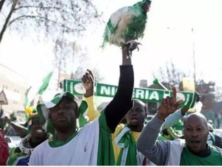 CĐV Nigeria bị cấm mang gà vào sân