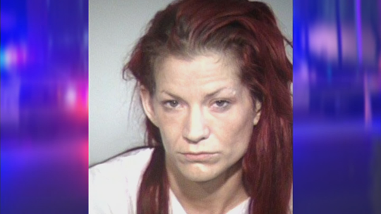 Mỹ: Mâu thuẫn trên đường, đuổi theo bắn cả mẹ lẫn con-2