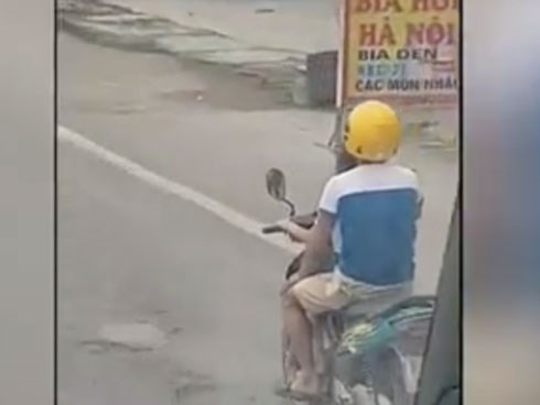 Bố để bé gái lái xe máy phóng như bay trên đường