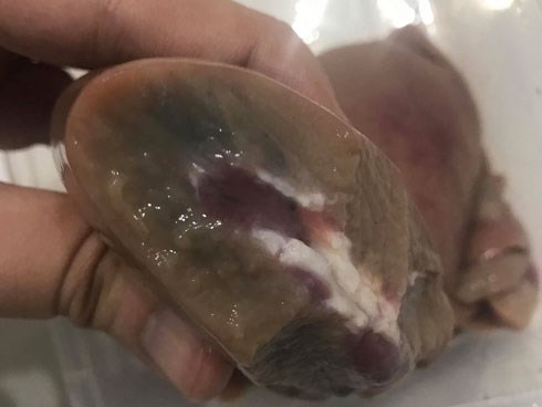 Tranh cãi vụ khách mua phải cật heo chuyển màu, bốc mùi hôi thối ở Big C