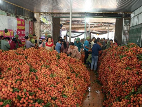 Bắc Giang chuyện lạ nửa thế kỷ: Chợ họp đến 10h đêm, thu hơn 5.500 tỷ