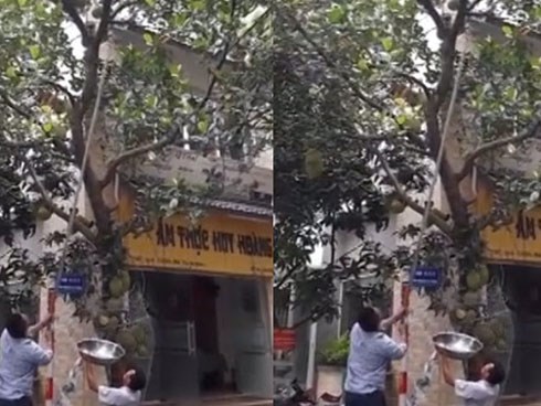Màn chọc mít giữa phố và cái kết... đắng chát