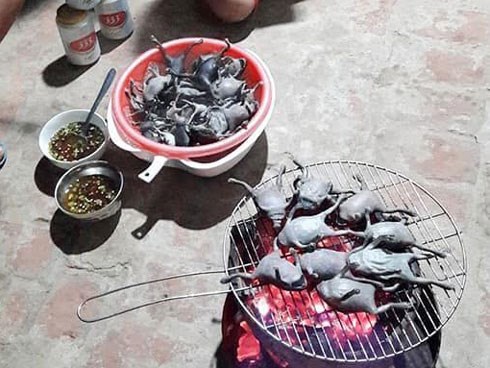 Món ếch nướng cả con không bỏ gì hết khiến dân mạng băn khoăn có nên làm thử hay không