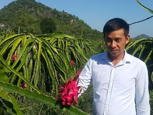 8X bỏ việc lương cao về quê 