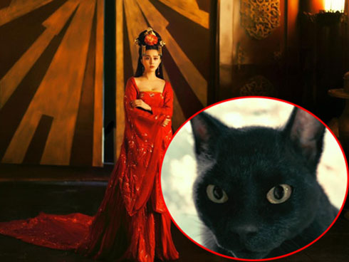 Món cháo thần dược khiến Võ Tắc Thiên 80 tuổi vẫn sung mãn, không đêm nào ngủ thiếu đàn ông-5