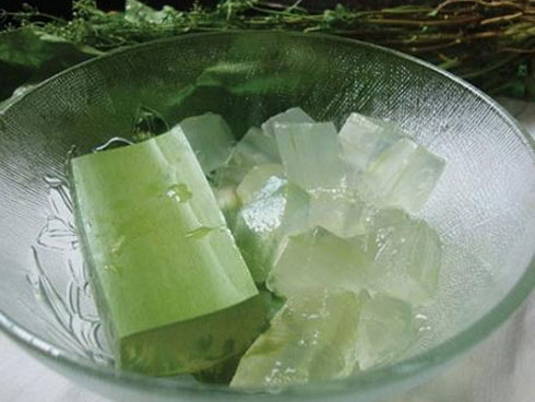 Dùng nha đam ngâm giấm theo cách này bạn chẳng cần tốn xu nào mua mỹ phẩm-6