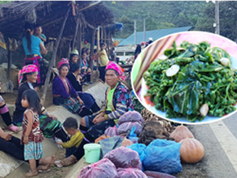 Cháo ấu tẩu và lá ngón xào tỏi - 2 đặc sản có độc của vùng cao và chuyện thú vị đằng sau-5