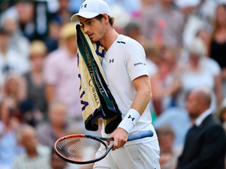 Andy Murray quyết định không dự Wimbledon ngay trước ngày khai mạc