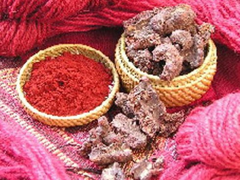 HOT: Lộ diện 9 thành phần bí mật không thể ngờ đến trong các sản phẩm làm đẹp!