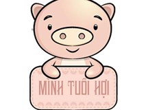 Xem sao chiếu mạng và hạn năm 2019 của tuổi Đinh Hợi 2007 Xem sao chiếu mạng và hạn năm 2019 của tuổi Đinh Hợi 2007