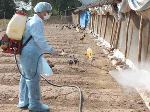 Một bệnh nhân ở Cà Mau tử vong do nhiễm cúm A/H1N1