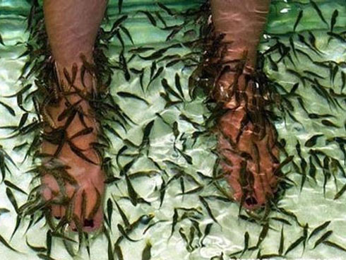 Bàn chân xuất hiện cùng lúc 3 dấu hiệu này: Hãy cảnh giác vì có thể thận đang có bệnh-4