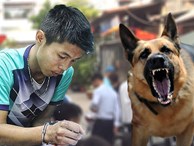 Phản ứng lạ của chú chó dữ lật tẩy hung thủ thảm sát vợ chồng ông chủ và 3 đứa trẻ