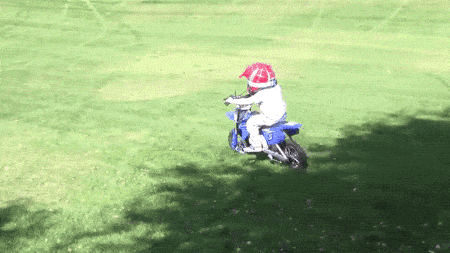 Loạt ảnh động khiến bạn không thể nhịn cười vì những pha thất bại toàn tập của các nhóc tì-15