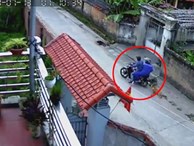 Clip: Khoảnh khắc 2 thanh niên đi xe máy quăng thòng lọng trộm chó trong tích tắc khiến người xem sửng sốt