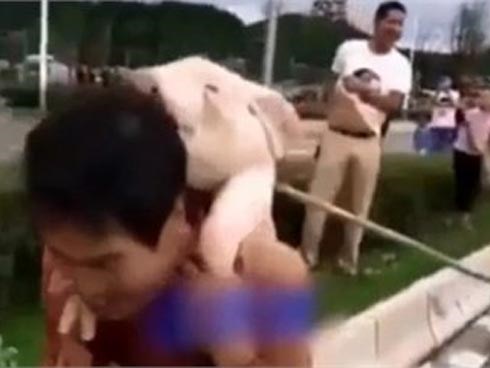 Dân làng đổ xô đi vớt lợn trang trại bị lũ cuốn trôi