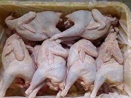 Khuyến cáo không nên mua “gà mái đẻ” 40.000 – 50.000 đồng/kg bán lề đường