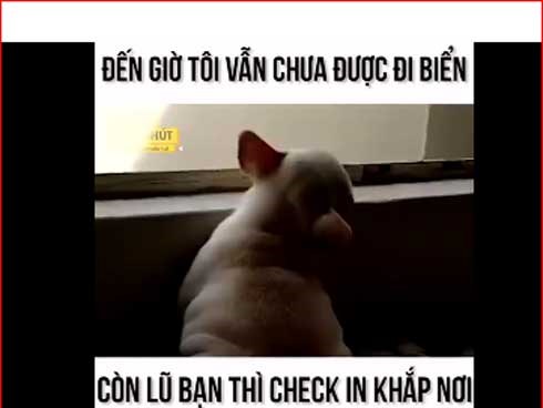Hết hè rồi tôi vẫn chưa được đi biển
